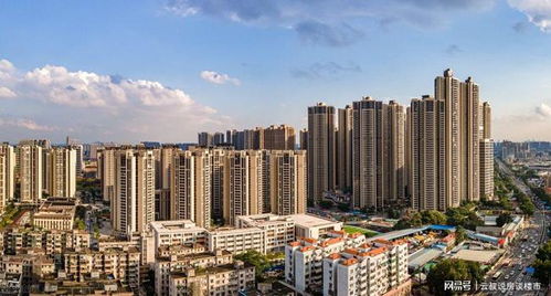 田阳去广州汽车多少钱