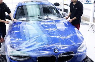 汽车粘膜多少钱