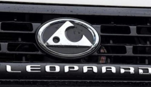 汽车油耗最高的人多少