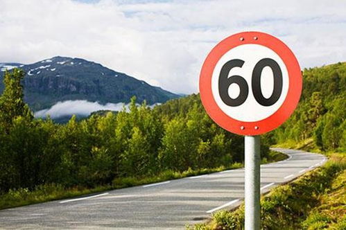 汽车交规限速多少