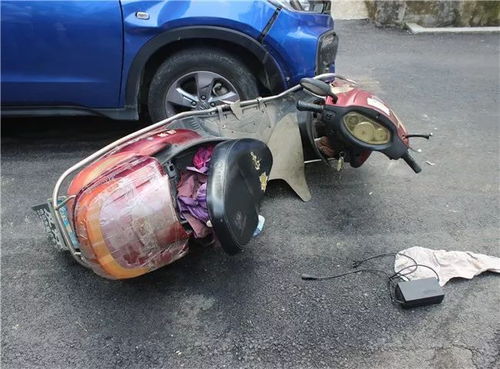 电动车把汽车撞了赔多少