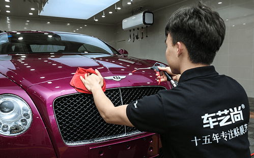 汽车贴花一般多少钱