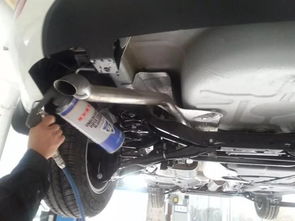 汽车底盘护甲多少钱