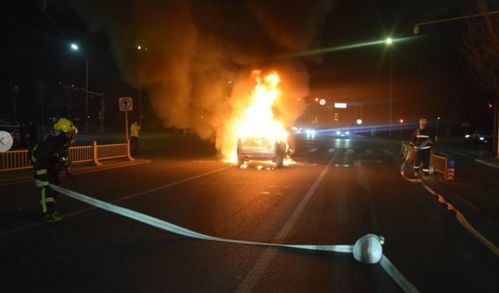 全年汽车起火多少起报警