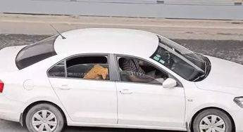 瑞金到厦门坐汽车要多少