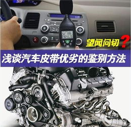 汽车皮带多少种