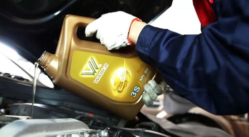 汽车最少要留多少油