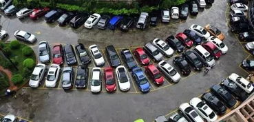 汽车开到多少码不能停车