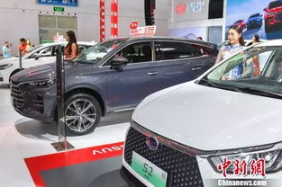 海南小汽车总数是多少