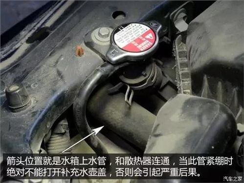 汽车冷却液加多少