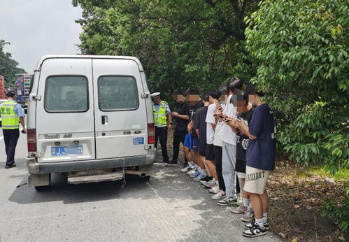 鹤山市汽车人均多少