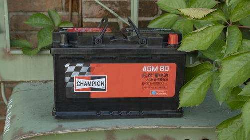 船博士汽车电瓶价格多少