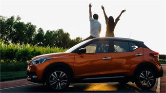 中国有多少合资汽车 中国有多少合资汽车