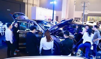 枣庄到洛阳汽车多少钱