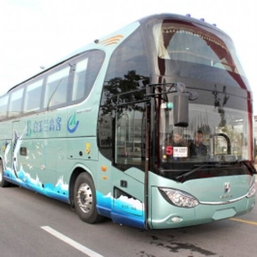 枣庄到洛阳汽车多少钱