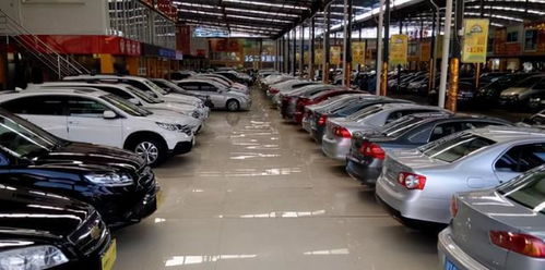 蔚县安泰多少辆汽车