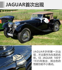 美洲豹汽车一般多少钱 美洲豹汽车一般多少钱