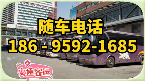 汽车漯河到长垣多少钱