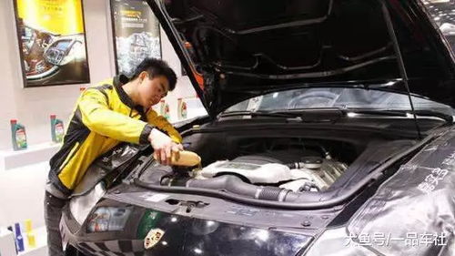 汽车免费首保多少公里 汽车免费首保多少公里