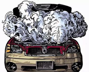 冬天汽车水箱放多少水 冬天汽车水箱放多少水