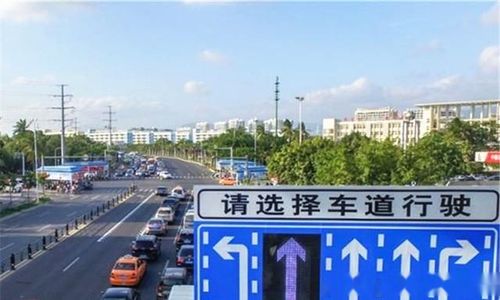 汽车直行倒退扣多少分
