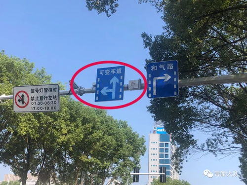 汽车直行倒退扣多少分