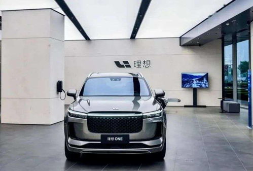 电动汽车月收入有多少