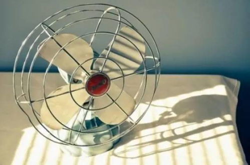 汽车电扇温度多少合适开