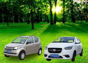 慈溪新能源汽车成本多少