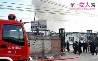 汽车失火修理费用多少