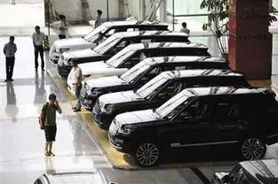 天津汽车填充胶价格多少