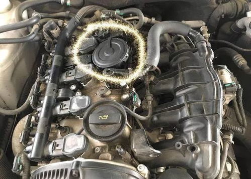 汽车废气阀多少钱