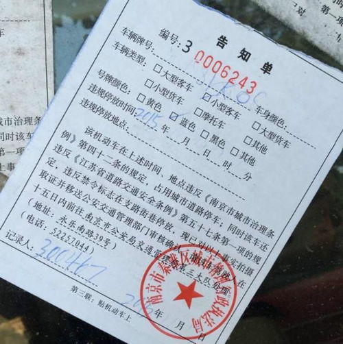 汽车违章最高罚金多少