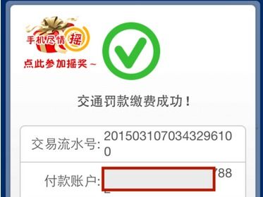 汽车违章最高罚金多少