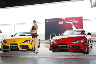 台湾汽车多少钱