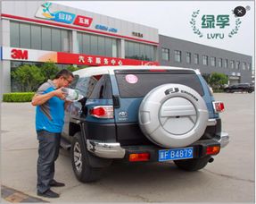 国外汽车排放汽油多少