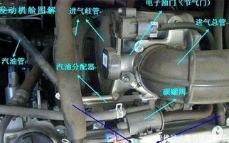 汽车油箱有多少汽油正常 汽车油箱有多少汽油正常