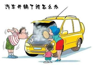 汽车水险多少钱