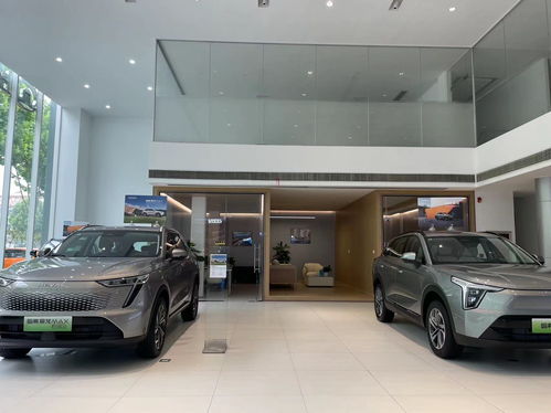 汽车投资合肥多少钱