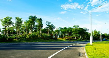 烟台东岳汽车占地多少亩