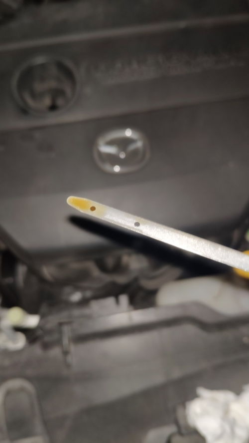 汽车机油尺多少正常图解