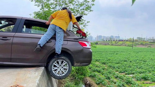 汽车后轮多少速度会摇晃