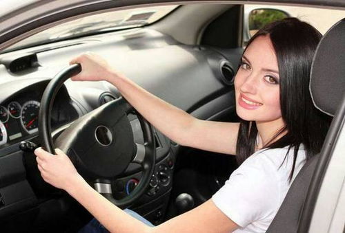 汽车新手需要多少钱