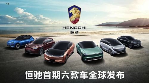 汽车大猫声浪多少钱