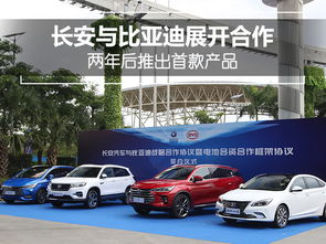 比亚迪汽车投资长沙多少