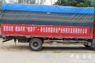 秦安到兰州汽车车票多少