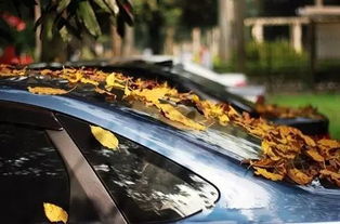 汽车划痕蜡多少钱 汽车划痕蜡多少钱