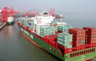 海运汽车需多少钱