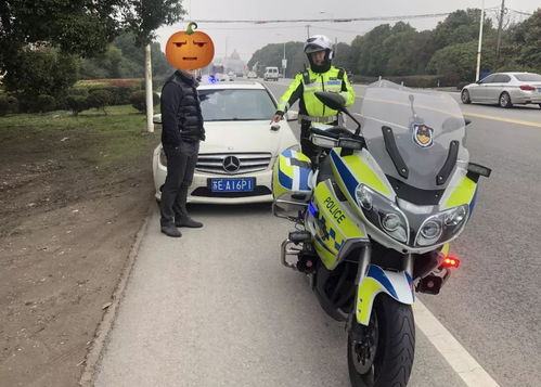 汽车后分挡广告多少钱