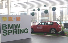 南坪汽车训练费用多少